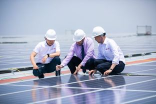 百威打造世界级智慧低碳工厂 发力可再生能源助推建设美丽莆田